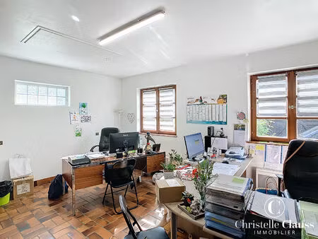 location commerce 42 m² à hindisheim (67150)