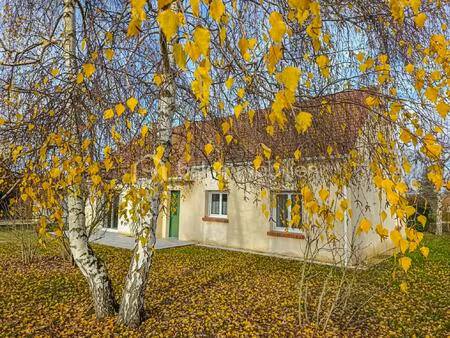 maison de 134 m² à dampierre-en-burly