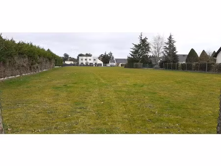 vente terrain 1000 m² à saint-denis-de-l'hotel (45550)  140 000 €