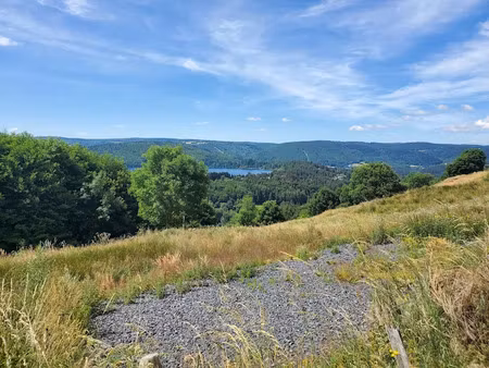 vente terrain 1300 m² à le lac-d'issarlès (07470)  88 000 €