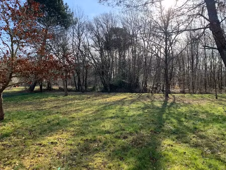 vente terrain 2520 m² à louchats (33125)  87 000 €