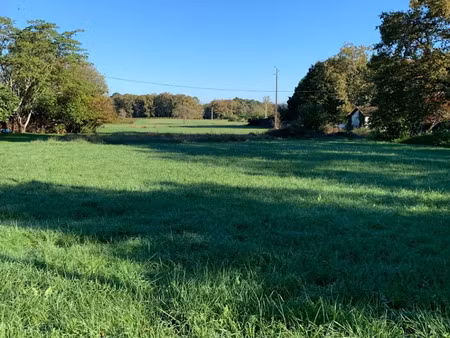 vente terrain 1500 m² à langon (33210)  109 000 €