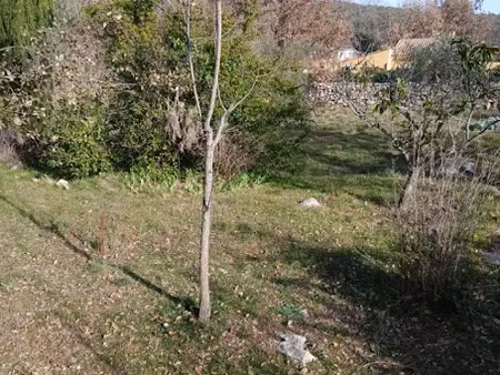 vente terrain 800 m² à garéoult (83136)  145 000 €