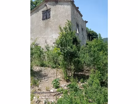 vente locaux professionnels 4 pièces 250 m² à entrevaux (04320)  111 000 €