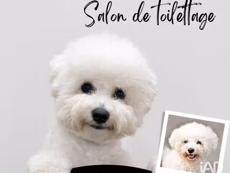 vente locaux professionnels 29 m² à nice (06000)  29 500 €