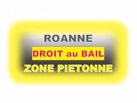 vente locaux professionnels 55 m² à roanne (42300)  89 000 €