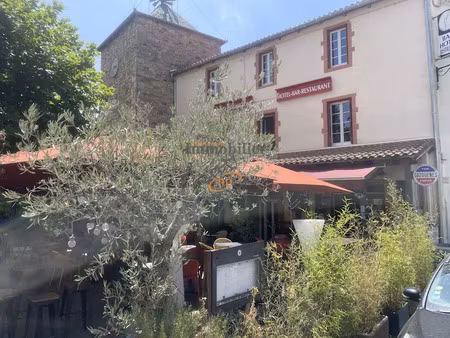 vente locaux professionnels 16 pièces 330 m² à saint-rome-de-tarn (12490)  225 000 €