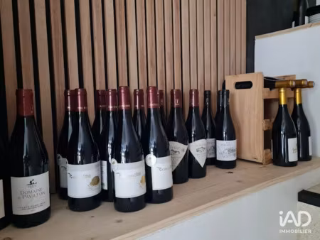 vente locaux professionnels 110 m² à valence (26000)  191 000 €