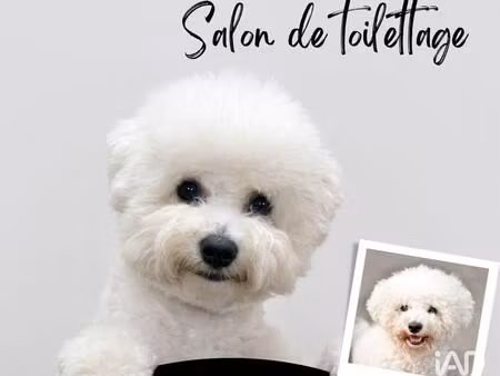 vente boutique/local commercial 29 m²