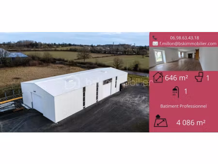 vente immeuble 4 pièces 646.22 m² à mauléon (79700)  362 250 €