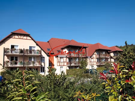 bergheim  appartement de location touristique en rez de jard