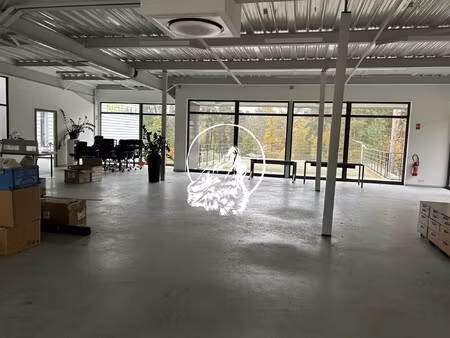 immobilier professionnel à louer porcelette