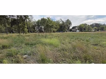 vente maison à construire 70 m² labouheyre (40210)