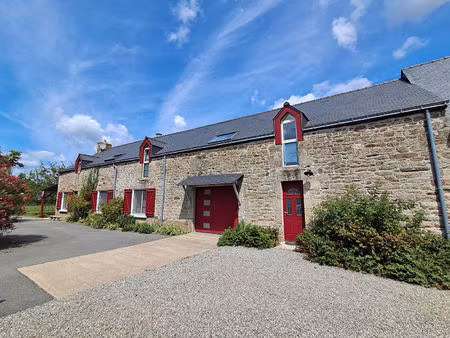 maison peaule 7 pièce(s) 220 m2