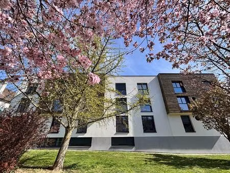 appartement à louer - logement étudiant