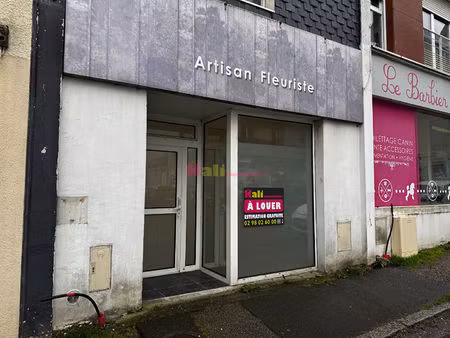 local commercial guipavas