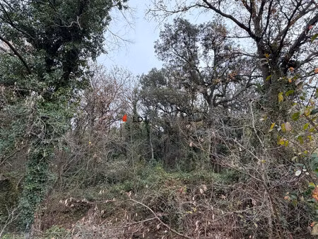 terrain à vendre laroque-des-albères