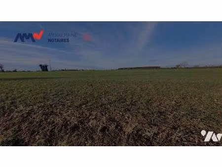 véronique de larminat