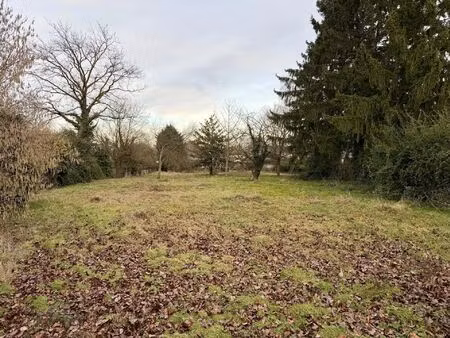 vente terrain 429 m² chaleins (01480)