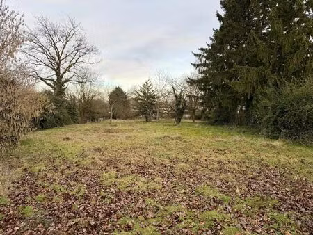 vente terrain 628 m² chaleins (01480)