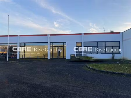 location local d'activités eckbolsheim 252 m²