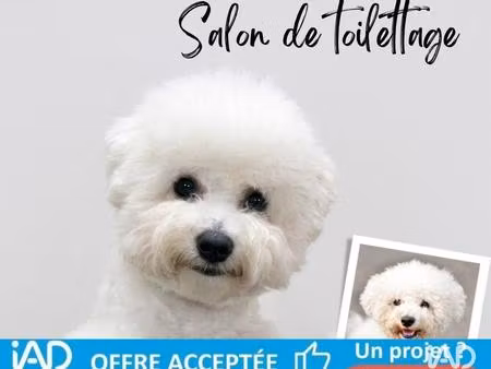 vente commerce 27 m² nice (06300)