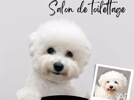 vente commerce 29 m² nice (06300)