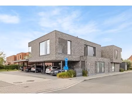 appartement te huur in dendermonde met 1 slaapkamer