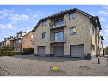 appartement te huur in kalmthout met 2 slaapkamers