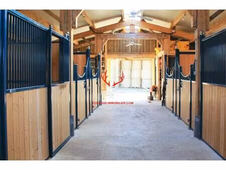 vente maison 5 pièces 162 m² celles-sur-durolle (63250)