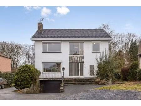 emiel van dorenlaan 116  3600 genk