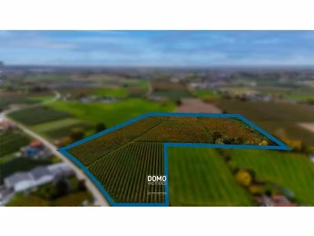 agrarisch gelegen percelen bestemd als weiland en boomgaard te koop in herk-de-stad