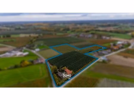 prachtig gelegen hoeve te koop op een perceel van 3ha 55a 31ca te herk-de-stad