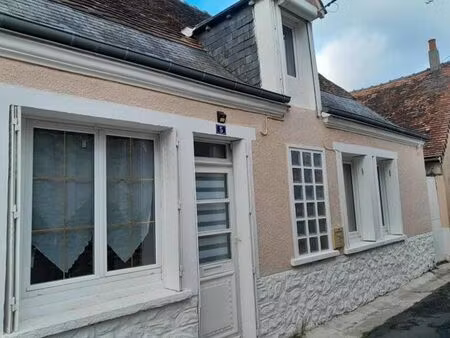 vente maison 2 pièces 72 m² châtillon-sur-indre (36700)