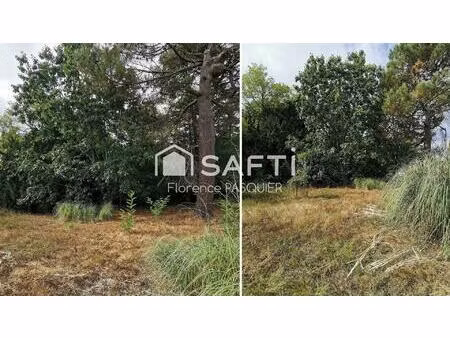 construisez la maison de vos rêves en lisière du bois