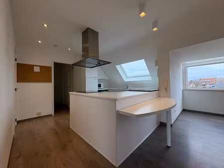 dakappartement met twee slaapkamers en een terras