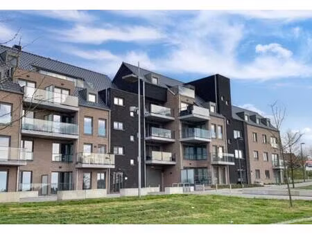 appartement te huur in zottegem