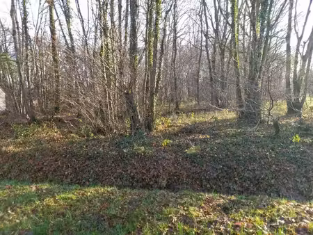 terrain à vendre de 2 370 00 m² saint hilaire les andresis (45)