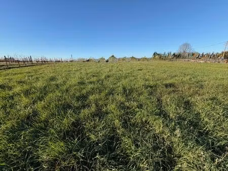 terrain à bâtir à capian (33550)