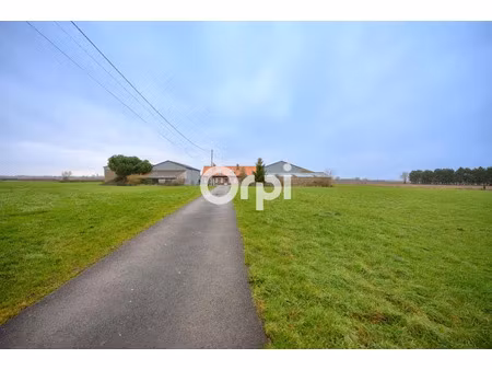 vente ferme 5 pièces 130 m² à morbecque (59190)  348 000 €