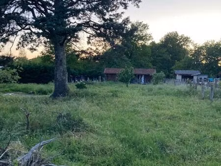 terrain à bâtir à cabanac-et-villagrains (33650)