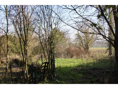 vente terrain 1174 m² drémil-lafage (31280)
