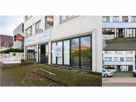 surface commerciale à vendre à diestersteenweg 113 kermt (rbv02708)