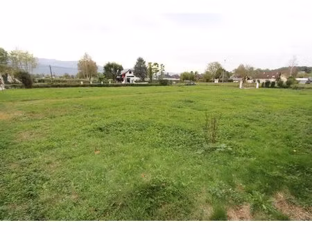 asson  a vendre terrain plat viabilisé 844 m²