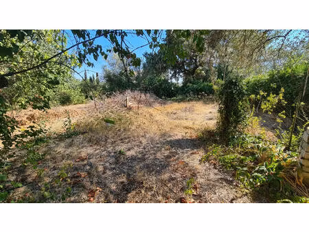 vente terrain 622 m² saint-vincent-de-barbeyrargues (34730)