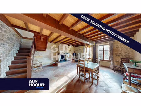 deux maisons mitoyennes 10 pièces