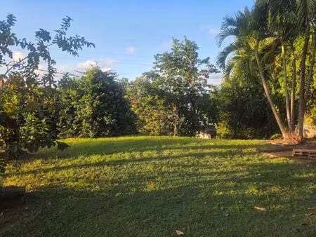 vente terrain 557 m² le vauclin (97280)