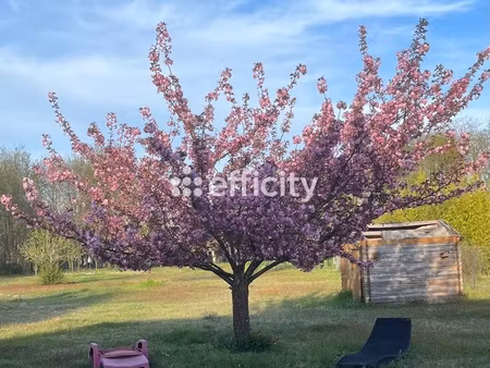 maison 7 pièces - 171 m²