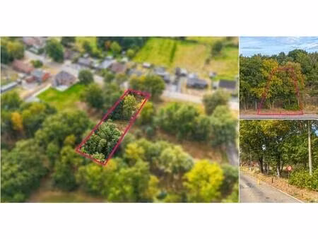 terrain à vendre à mommestraat heusden-zolder (rbv02740)