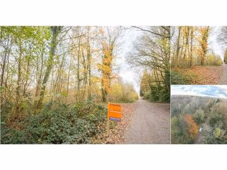 terrain agricole à vendre à allée centrale berzée (vbd72296)